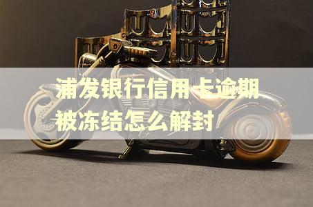 浦发银行信用卡逾期被冻结怎么解封