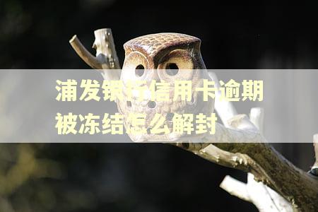 浦发银行信用卡逾期被冻结怎么解封 浦发银行信用卡逾期被冻结怎么解封