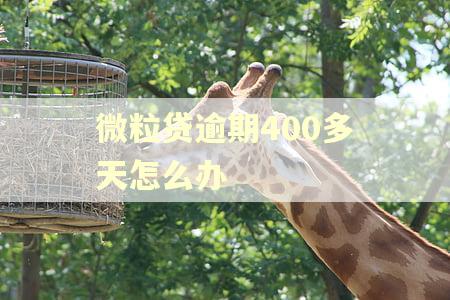 微粒贷逾期400多天怎么办