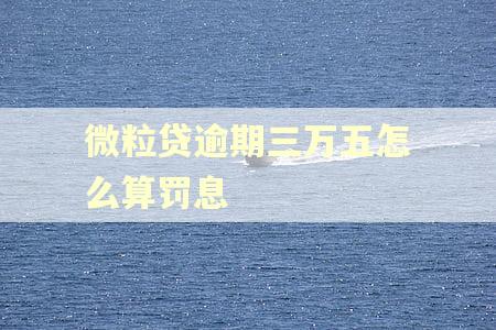 微粒贷逾期三万五怎么算罚息