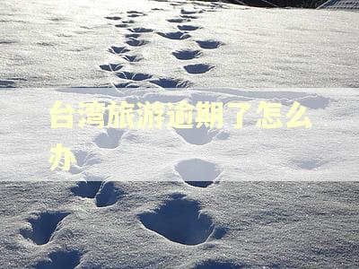 台湾旅游逾期了怎么办