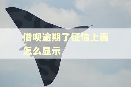 借呗逾期了征信上面怎么显示