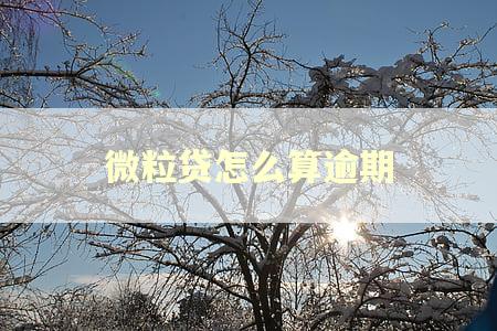 微粒贷怎么算逾期