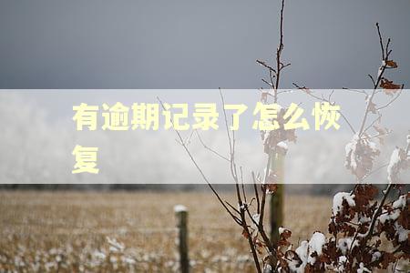 有逾期记录了怎么恢复