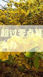 借呗超过零点算逾期吗怎么办