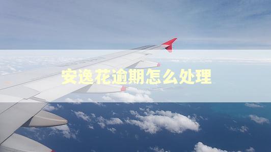 安逸花逾期怎么处理
