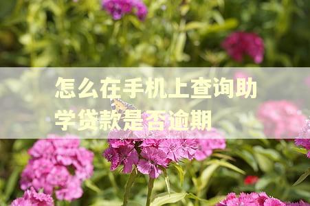 怎么在手机上查询助学贷款是否逾期