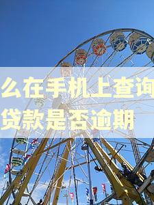 怎么在手机上查询助学贷款是否逾期