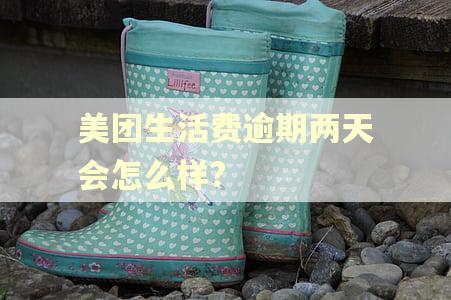 美团生活费逾期两天会怎么样?