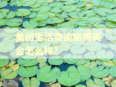 美团生活费逾期两天会怎么样?