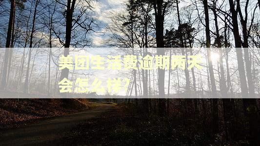 美团生活费逾期两天会怎么样?
