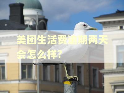 美团生活费逾期两天会怎么样?