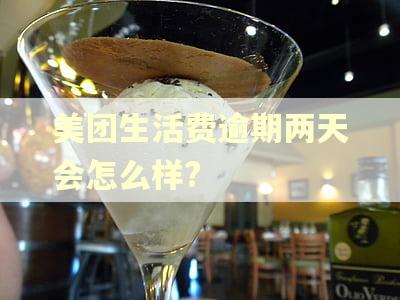 美团生活费逾期两天会怎么样? 美团生活费逾期两天会怎么样?