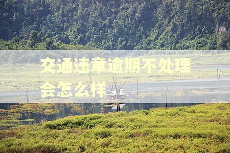 交通违章逾期不处理会怎么样