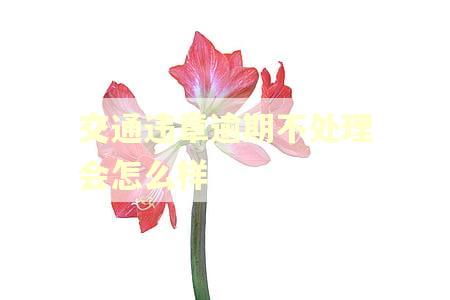 交通违章逾期不处理会怎么样