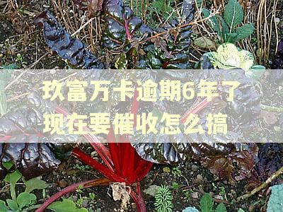 玖富万卡逾期6年了现在要催收怎么搞