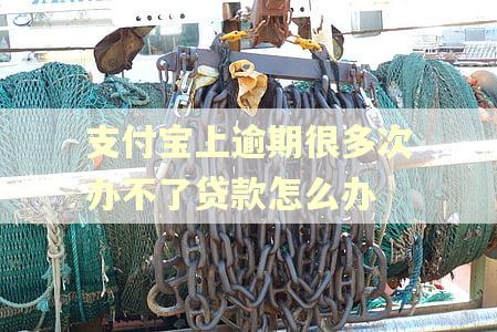 支付宝上逾期很多次办不了贷款怎么办
