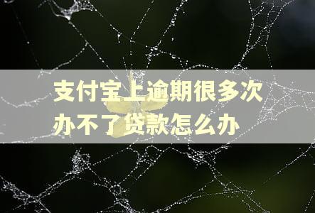 支付宝上逾期很多次办不了贷款怎么办