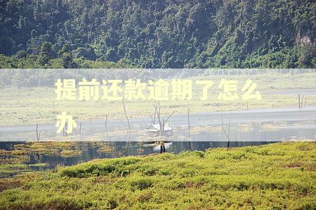 提前还款逾期了怎么办