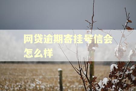 网贷逾期寄挂号信会怎么样