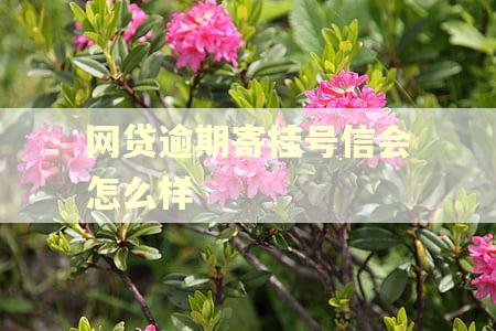 网贷逾期寄挂号信会怎么样
