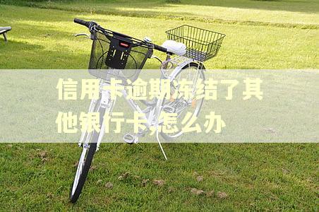 信用卡逾期冻结了其他银行卡,怎么办 信用卡逾期冻结了其他银行卡,怎么办