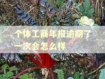 个体工商年报逾期了一次会怎么样