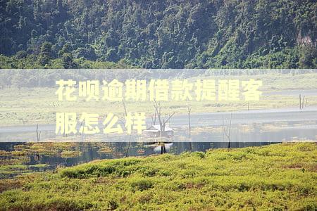 花呗逾期借款提醒客服怎么样