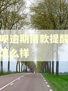 花呗逾期借款提醒客服怎么样