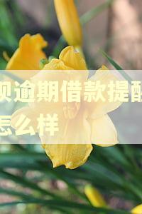 花呗逾期借款提醒客服怎么样