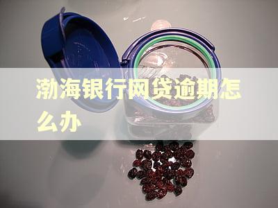 渤海银行网贷逾期怎么办 渤海银行网贷逾期怎么办