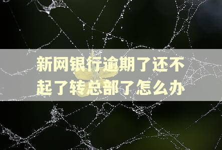 新网银行逾期了还不起了转总部了怎么办