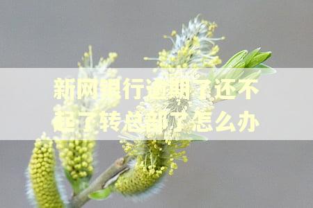 新网银行逾期了还不起了转总部了怎么办 新网银行逾期了还不起了转总部了怎么办