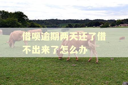 借呗逾期两天还了借不出来了怎么办