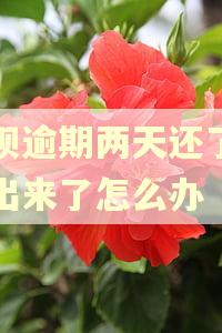 借呗逾期两天还了借不出来了怎么办