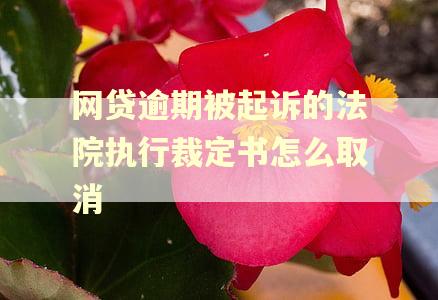 网贷逾期被起诉的法院执行裁定书怎么取消 网贷逾期被起诉的法院执行裁定书怎么取消