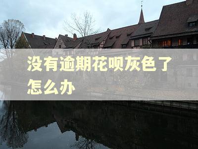 没有逾期花呗灰色了怎么办