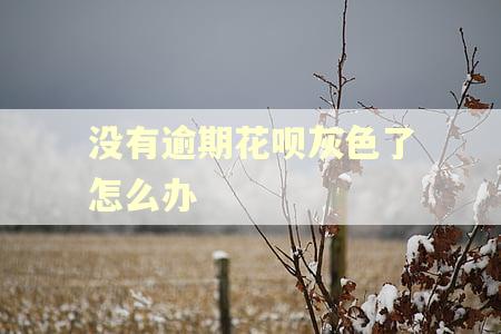 没有逾期花呗灰色了怎么办
