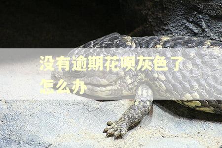 没有逾期花呗灰色了怎么办 没有逾期花呗灰色了怎么办