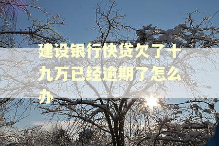 建设银行快贷欠了十九万已经逾期了怎么办