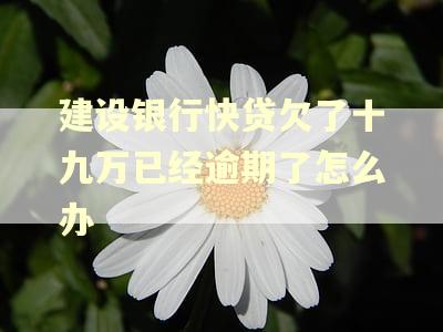 建设银行快贷欠了十九万已经逾期了怎么办