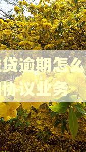 微粒贷逾期怎么解约代扣协议业务 微粒贷逾期怎么解约代扣协议业务
