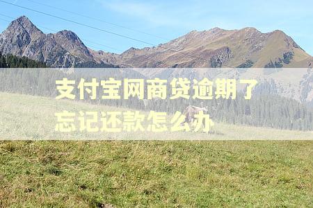 支付宝网商贷逾期了忘记还款怎么办