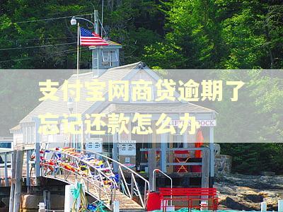 支付宝网商贷逾期了忘记还款怎么办 支付宝网商贷逾期了忘记还款怎么办