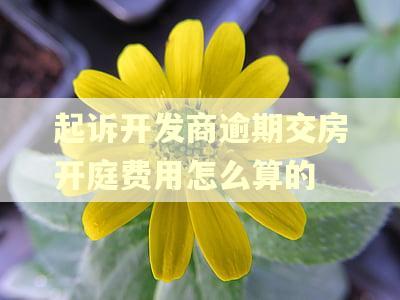 起诉开发商逾期交房开庭费用怎么算的