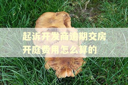 起诉开发商逾期交房开庭费用怎么算的