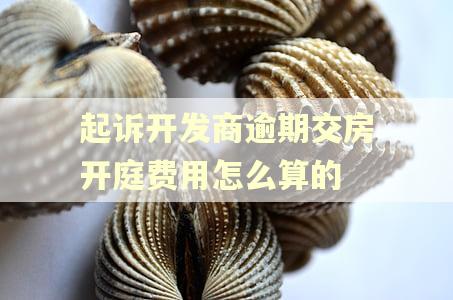 起诉开发商逾期交房开庭费用怎么算的