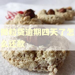 微粒贷逾期四天了怎么还款