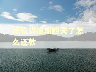微粒贷逾期四天了怎么还款