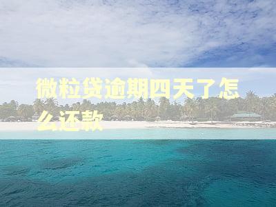 微粒贷逾期四天了怎么还款